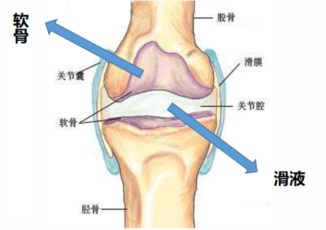 1587641352493660.png image.png